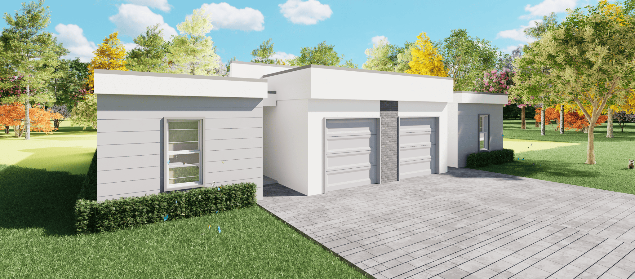projects